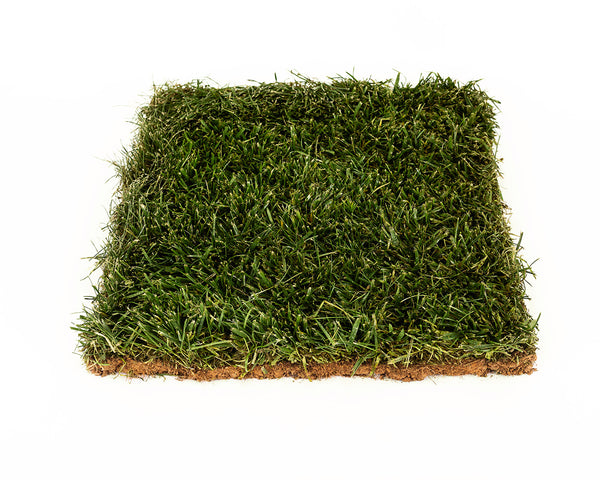 RTF Tall Fescue instant turf